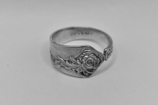 Rose Bloom